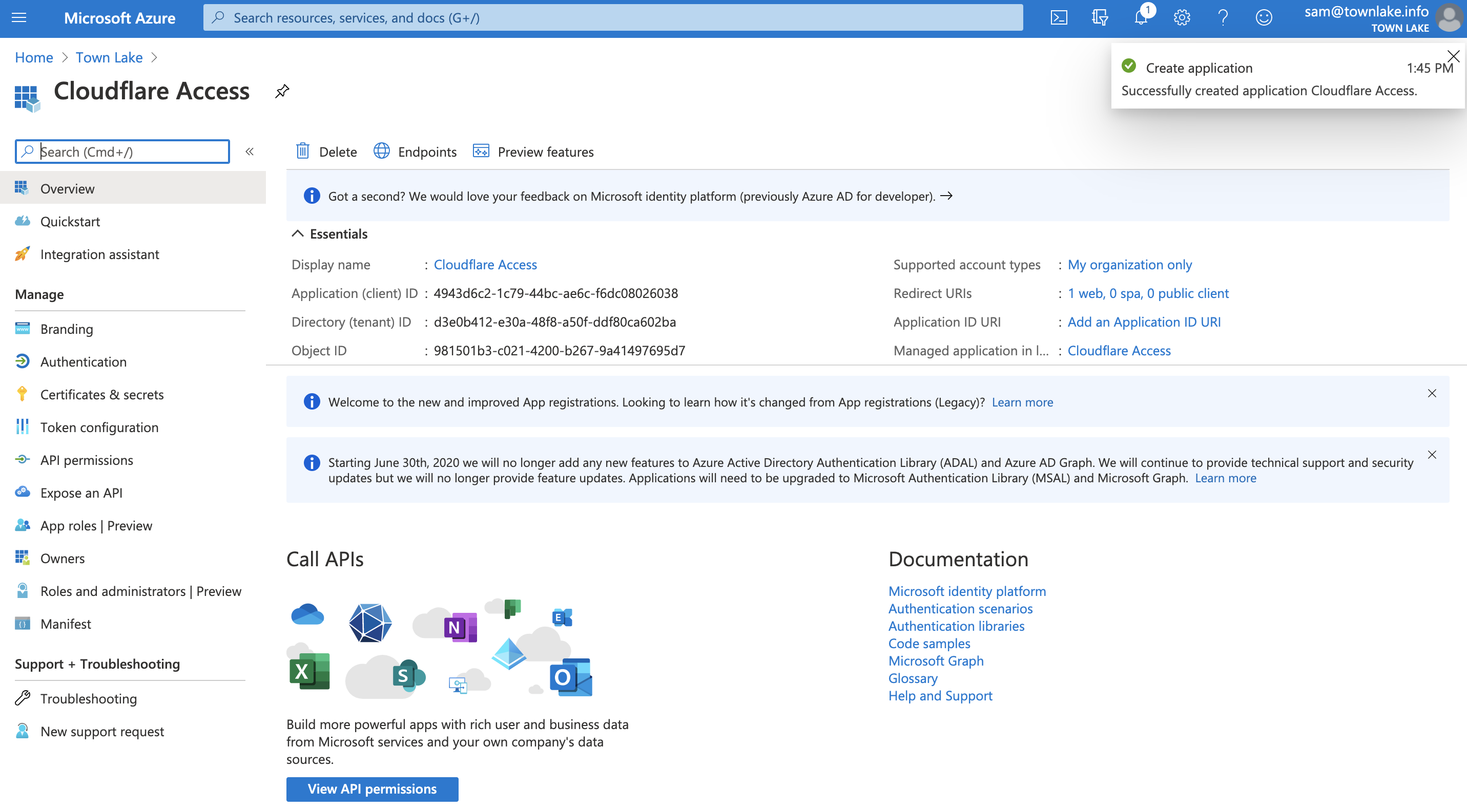 Application and Directory IDs in Azure